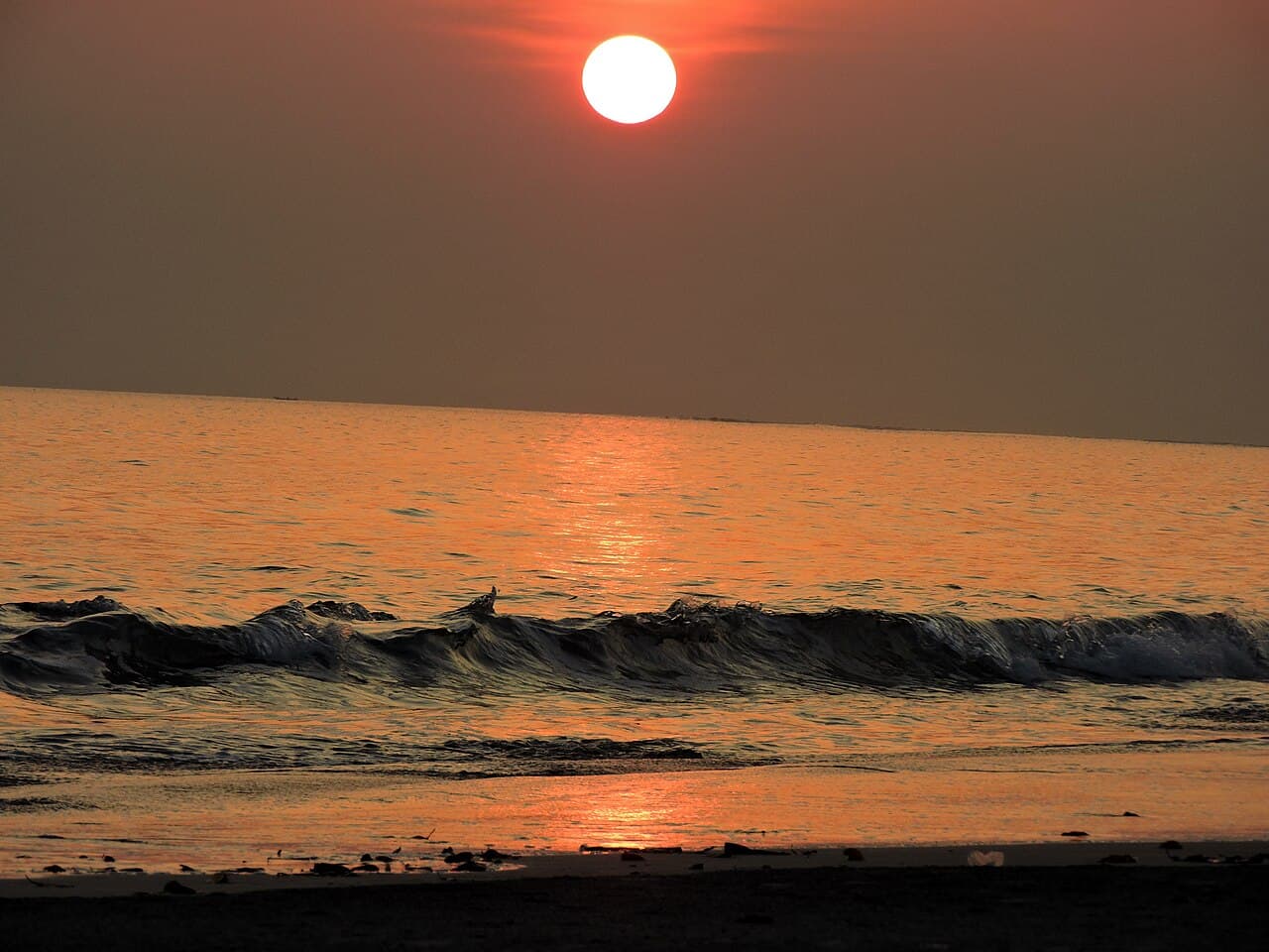 Luxury 4-Day South Andaman Sightseeing Tour β Radhanagar & Mizira Escape
